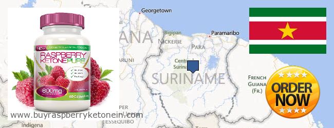 Gdzie kupić Raspberry Ketone w Internecie Suriname